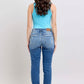 Model showcasing Judy Blue distressed jeans, back view, featuring button fly and pockets, perfect for casual outings.