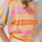 Multi Color Striped Round Neck Knit Top