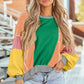 Woman wearing Bella Road Color Block Round Neck Long Sleeve Top and denim shorts outdoors